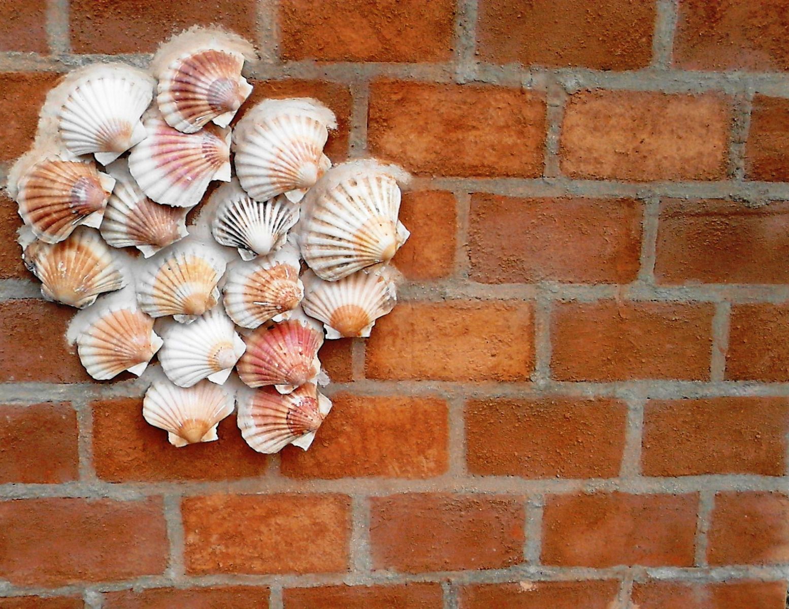 De tarea, primera exposici�n personal de Jos� Enrique D�az N��ez